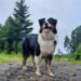 Fundy Footpath | Access Trail | Rapidy Brook Trail